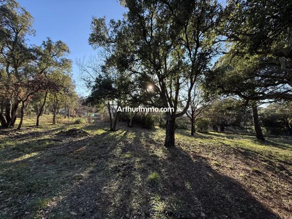 Vente Terrain 600 m2 à Vidauban