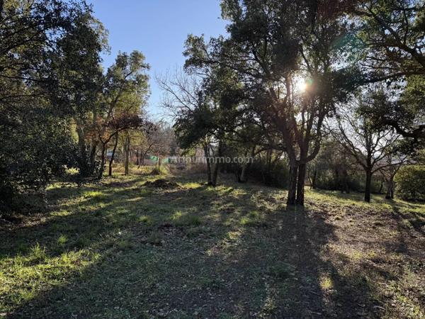 Vente Terrain 600 m2 à Vidauban