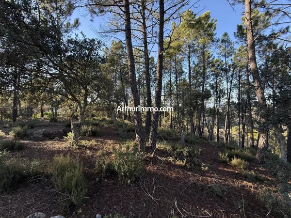 Vente Terrain 600 m2 à Vidauban