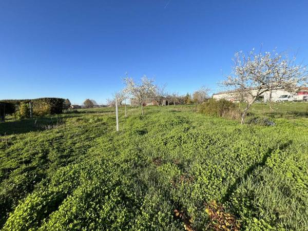 Terrain à vendre |  Barbezieux-Saint-Hilaire |  6046 m²