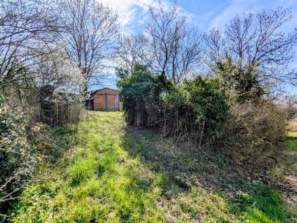 Vente / Terrain constructible