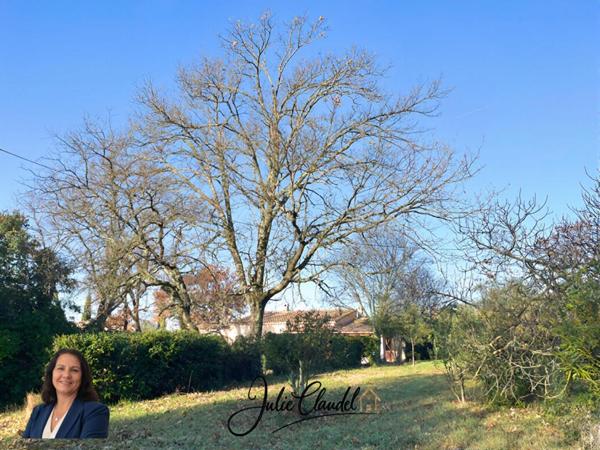 Maison plain-pied au calme absolu, campagne de Lorgues, grand terrain plat, piscine possible