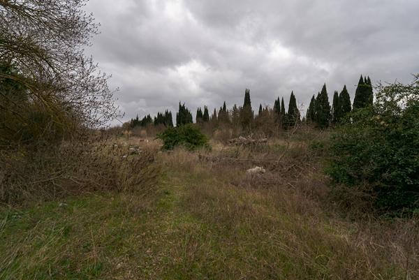 CARCASSONNE ZAC CUCURLIS Terrain de 17.255 m² dont 12.000m² constructibles
