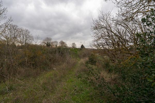CARCASSONNE ZAC CUCURLIS Terrain de 17.255 m² dont 12.000m² constructibles