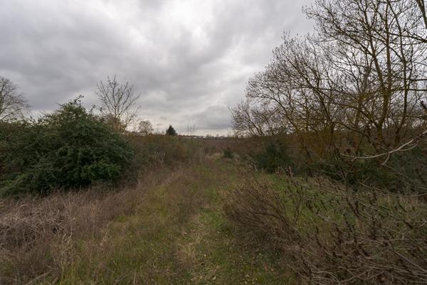CARCASSONNE ZAC CUCURLIS Terrain de 17.255 m² dont 12.000m² constructibles