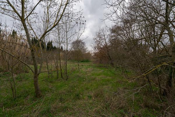 CARCASSONNE ZAC CUCURLIS Terrain de 17.255 m² dont 12.000m² constructibles