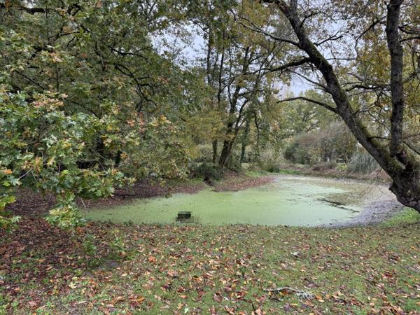 Propriété à LANGON (41320)