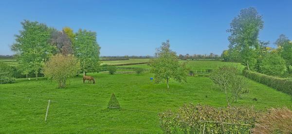 Maison ancienne rénovée – Charme, espace et nature