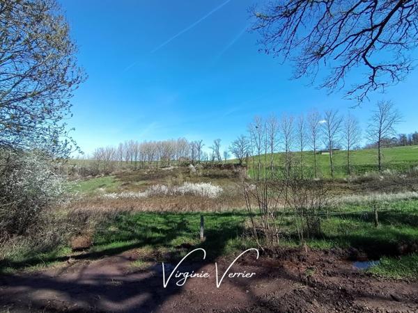 Terrain à vendre de 6 923 m²