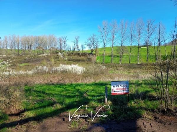 Terrain à vendre de 6 923 m²