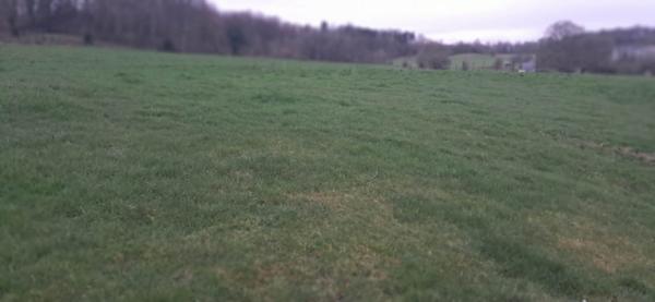 Terrain dans Gernelle