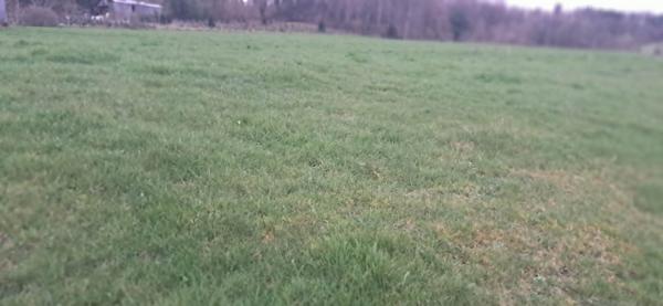 Terrain dans Gernelle