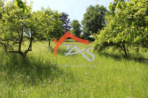 Vente Terrain 1700 m2 à Sorbiers