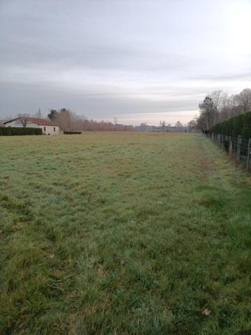 Magnifique terrain plat d'environ 2900m²