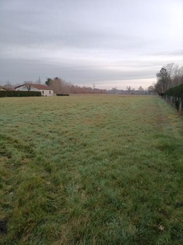 Magnifique terrain plat d'environ 2900m²