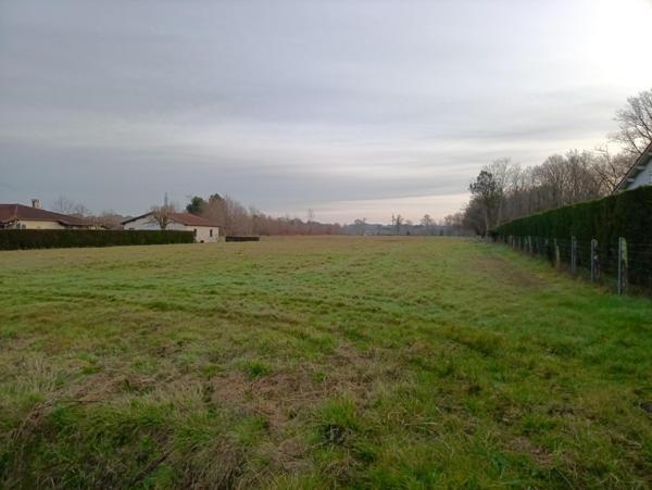 Magnifique terrain plat d'environ 2900m²