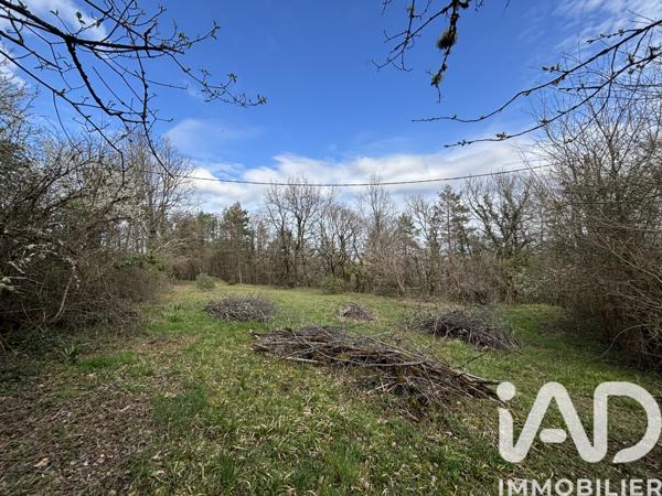 Terrain à vendre 2 530 m² Noailles