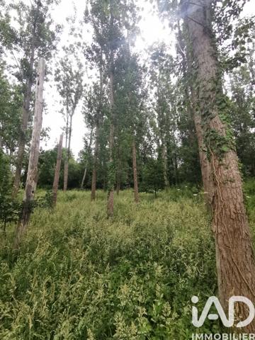 Terrain à vendre 11 271 m² Saint-Étienne-du-Bois