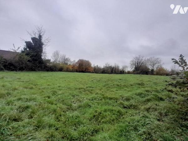 Terrain 3886m2