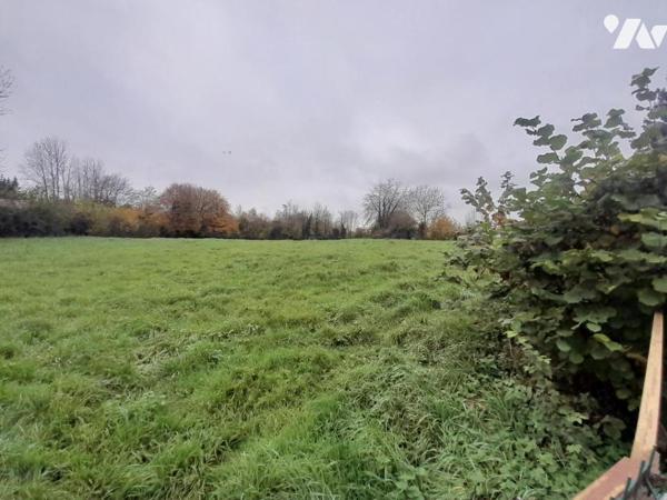 Terrain 3886m2