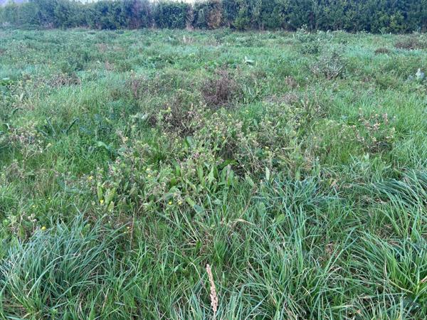 Terrain constructible viabilisé