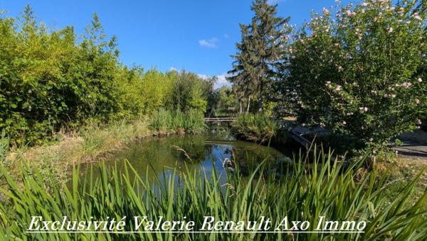 Maison T3 avec grand terrain arboré et grand plan deau