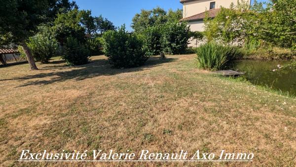 Maison T3 avec grand terrain arboré et grand plan deau