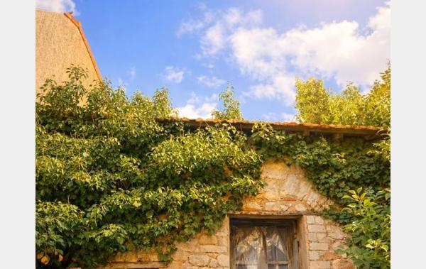 Vente Maison de village garage avec jardin Bouzigues   