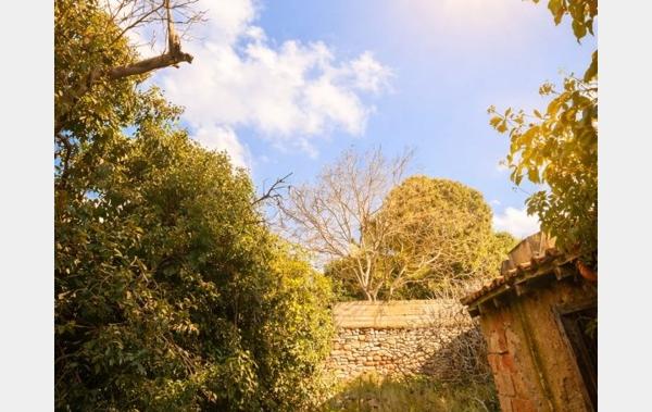 Vente Maison de village garage avec jardin Bouzigues   