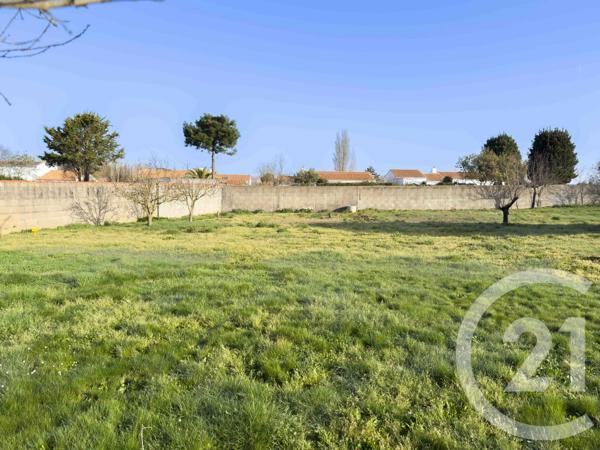 Terrain à vendre  823 m 2   OLONNE SUR MER  - 85