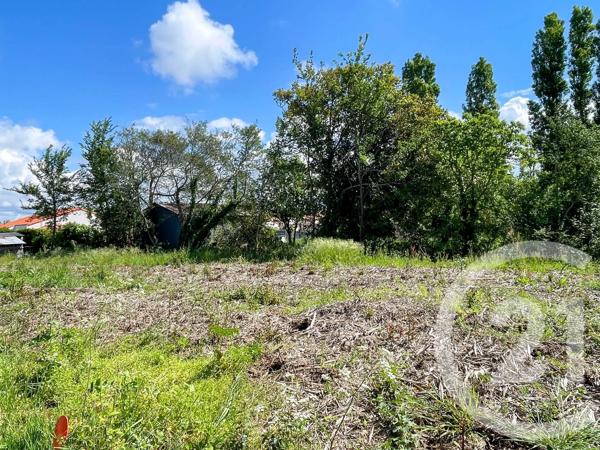 Terrain à vendre  823 m 2   OLONNE SUR MER  - 85
