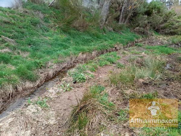 Vente                                                      Terrain
                        
                                         1720 m2                     à Les Laubies