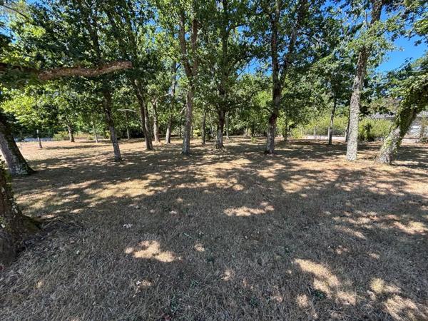 Achat - Terrain à bâtir | Terrain à bâtir Parempuyre 33290 1150 m 2 1150 m 2