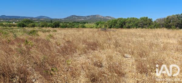 Terrain à vendre 595 m² La Palme
