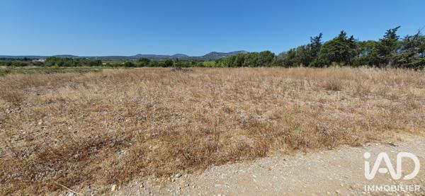 Terrain à vendre 595 m² La Palme