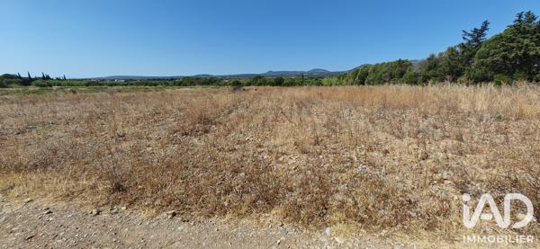 Terrain à vendre 595 m² La Palme