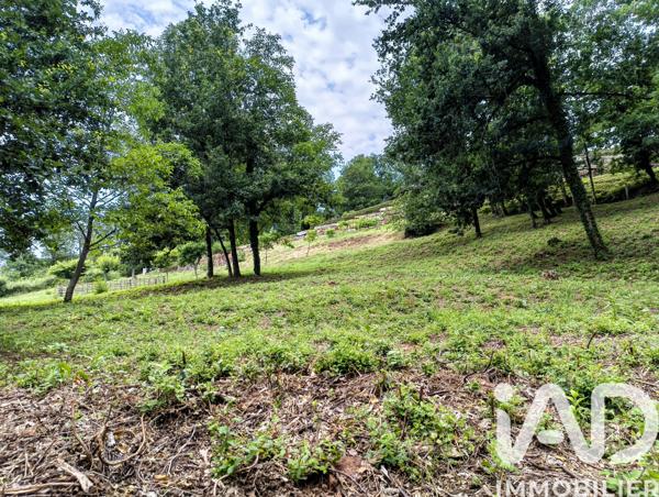 Terrain à vendre 1 740 m² Villecomtal