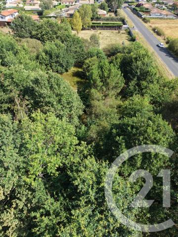 Terrain à vendre  10819 m 2   ST MEDARD EN JALLES  - 33