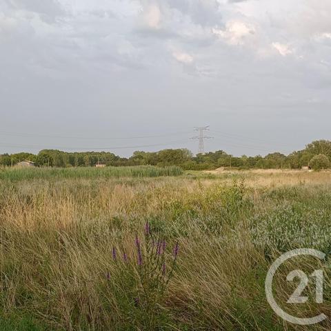 Terrain à vendre  10819 m 2   ST MEDARD EN JALLES  - 33