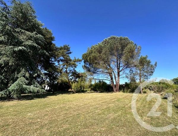 Terrain à vendre  10819 m 2   ST MEDARD EN JALLES  - 33