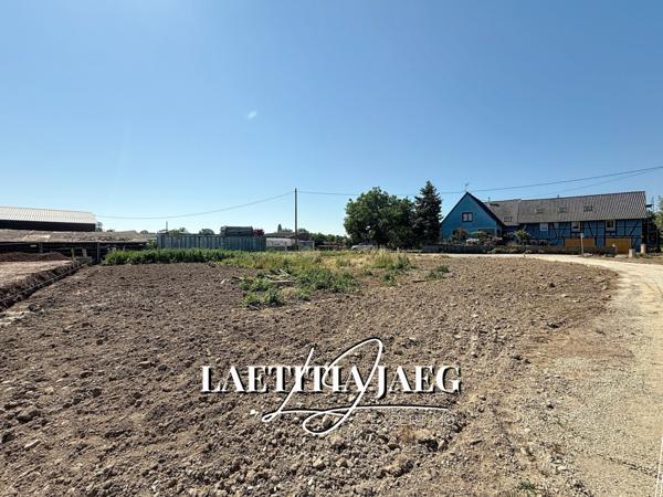 Sand (67230) TERRAIN - HORS LOTISSEMENT - EN IMPASSE - AU CALME - GRANDE SURFACE