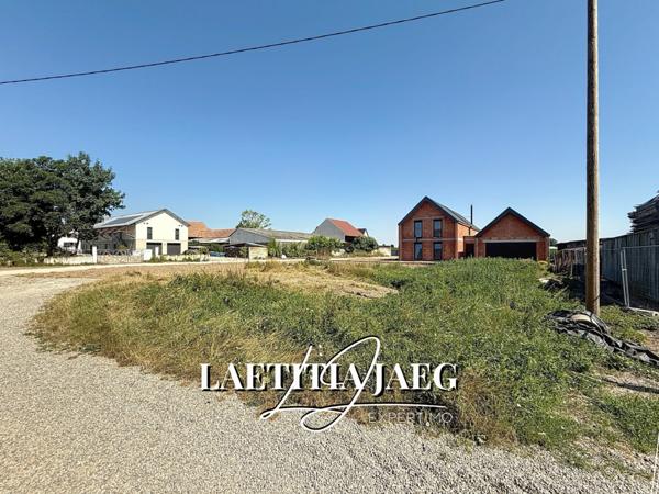 Sand (67230) TERRAIN - HORS LOTISSEMENT - EN IMPASSE - AU CALME - GRANDE SURFACE