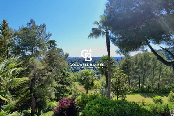 Villa 15 pièces à vendre St Paul - 06570 / Réf: 85944751