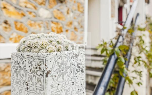 Maison à vendre    5 pièces • 100 m2 Argenteuil