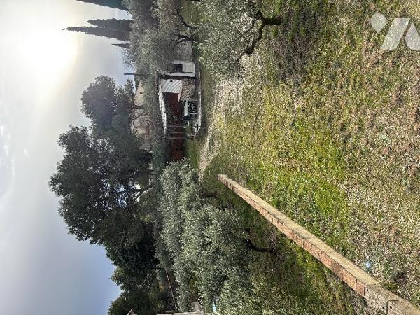 Beaucaire maison d'environ 265 m² sur un terrain clos et arboré de 8300 m².