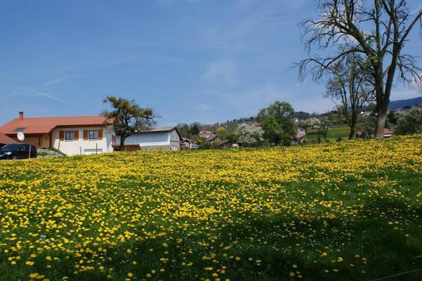 MAISON TRADITIONNELLE CRANVES SALES CAMPAGNE