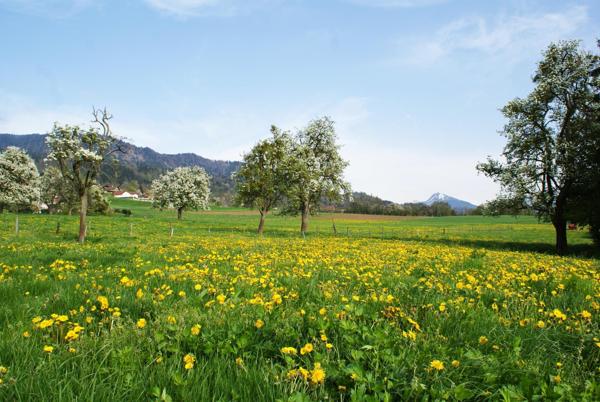 MAISON TRADITIONNELLE CRANVES SALES CAMPAGNE