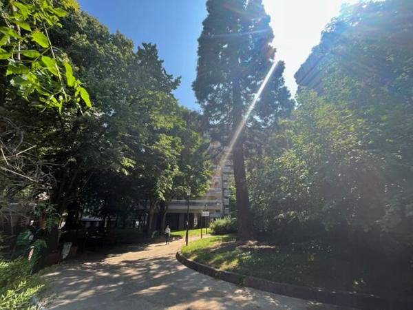 Local commercial Les Passages Boulogne Billancourt 114 m2