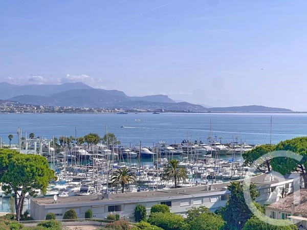 Appartement F1 à vendre  1 pièce - 33,88 m 2   ANTIBES  - 06