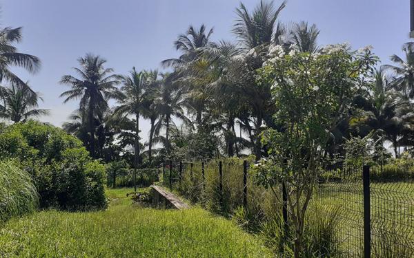 Appartement à vendre    3 pièces •  Cayenne